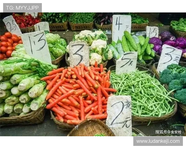 皇家国际站与传统市场的碰撞:新旧时代购物的对比 皇家国际站与传统市场的碰撞:新旧时代购物的对比