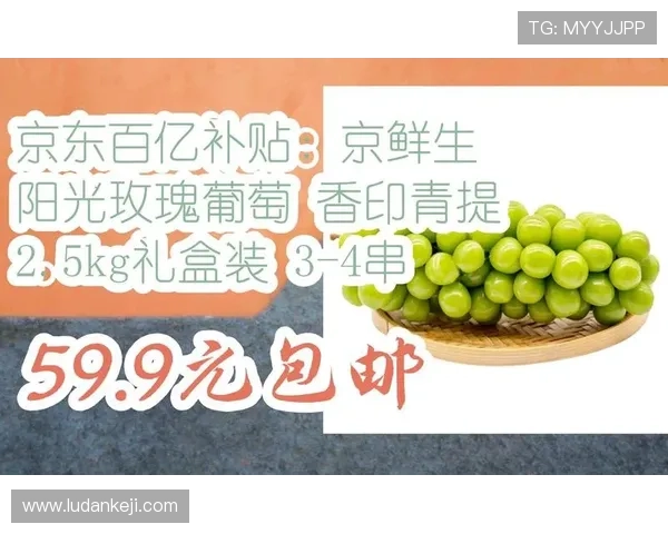 京葡萄官网app最新优惠券领取攻略,享受更多实惠购物体验 京葡萄官网app最新优惠券领取攻略,享受更多实惠购物体验