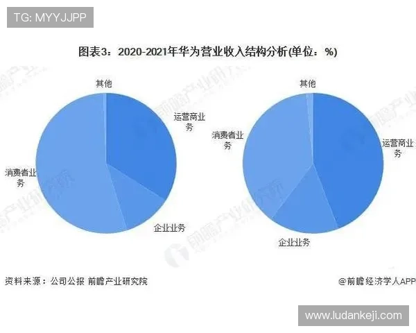如何确保金沙官网营业执照的合法有效性与企业运营安全保障 如何确保金沙官网营业执照的合法有效性与企业运营安全保障