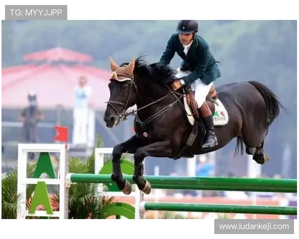 六合彩体育如何结合体育赛事提升中奖率实用策略全攻略