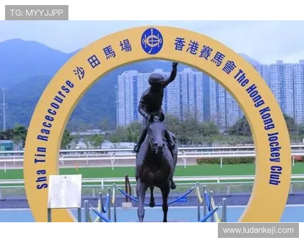 利用赛马会手机官网实现便捷投注和实时赛马直播的实用指南