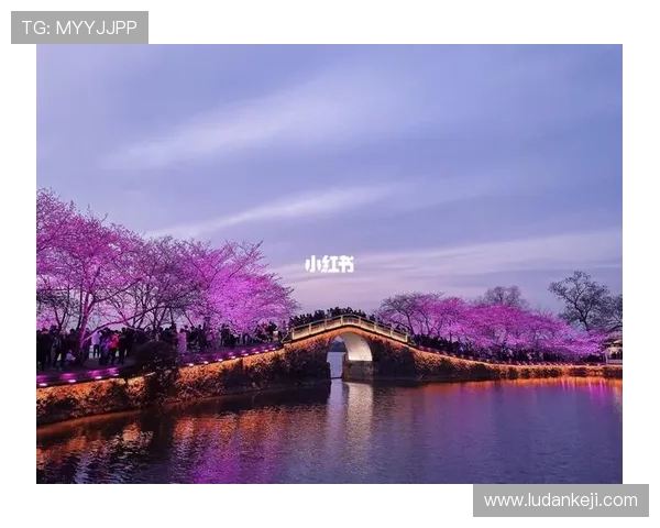 澳门渔人码头官网全面介绍景点布局与交通指南，方便游客高效安排行程