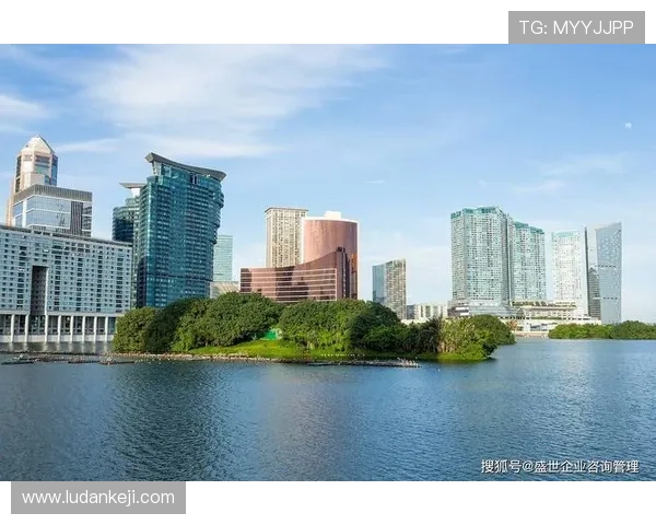 澳门金沙中国有限公司：在澳门经济多元化背景下的企业责任与未来规划