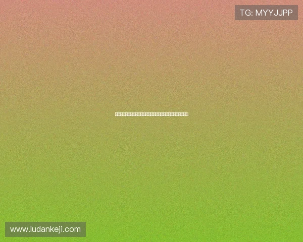 分析威尼斯旗牌在世界杯比赛中的表现数据与球迷关注的焦点事件 分析威尼斯旗牌在世界杯比赛中的表现数据与球迷关注的焦点事件